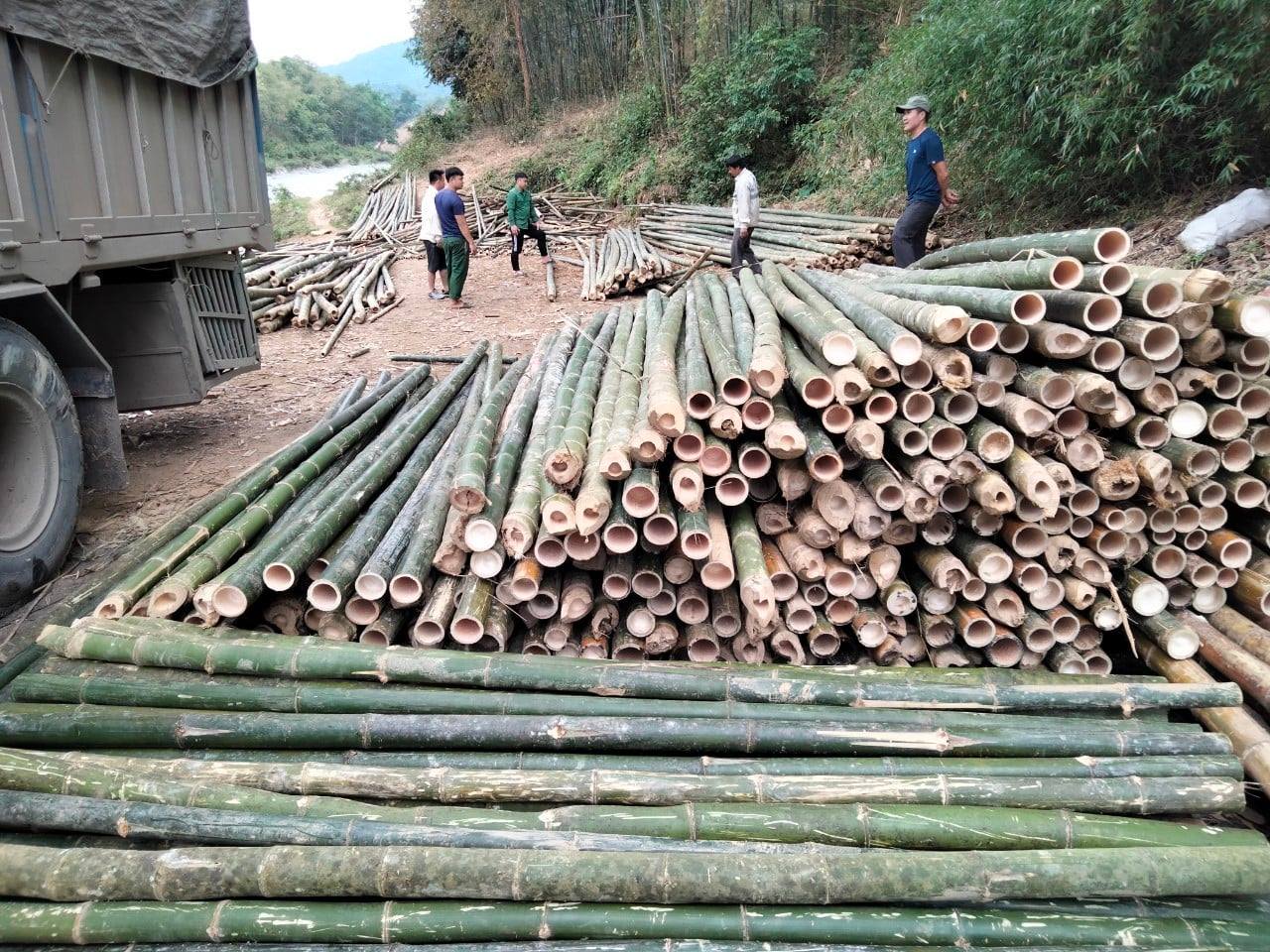 coc-tre-cap-cong-trinh (10)