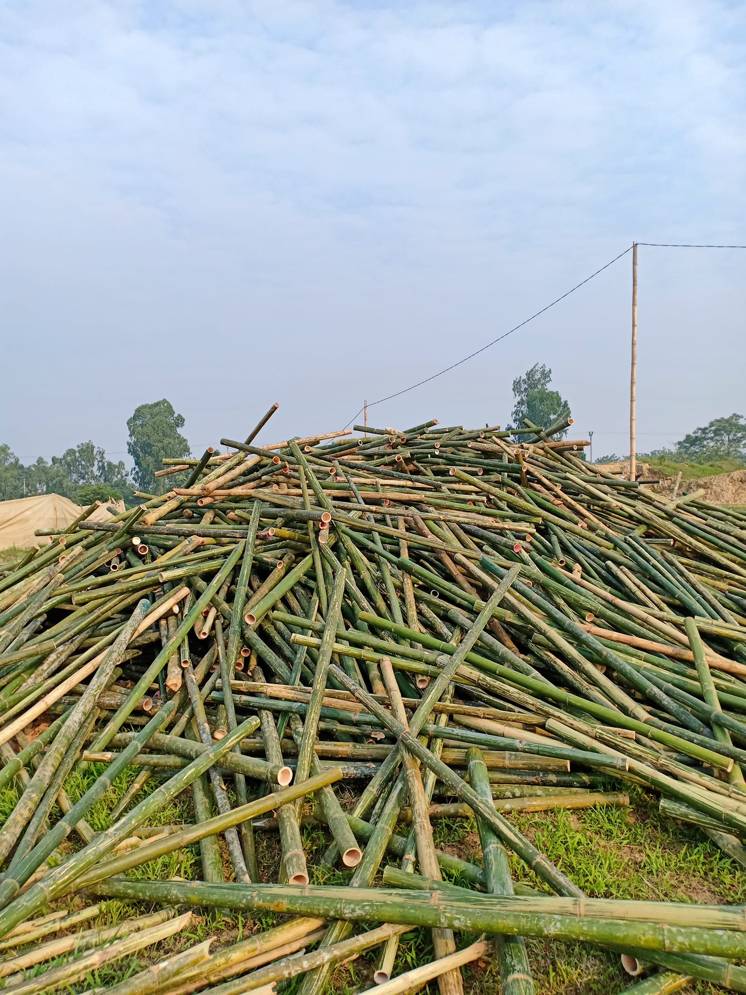 coc-tre-cap-cong-trinh (3)