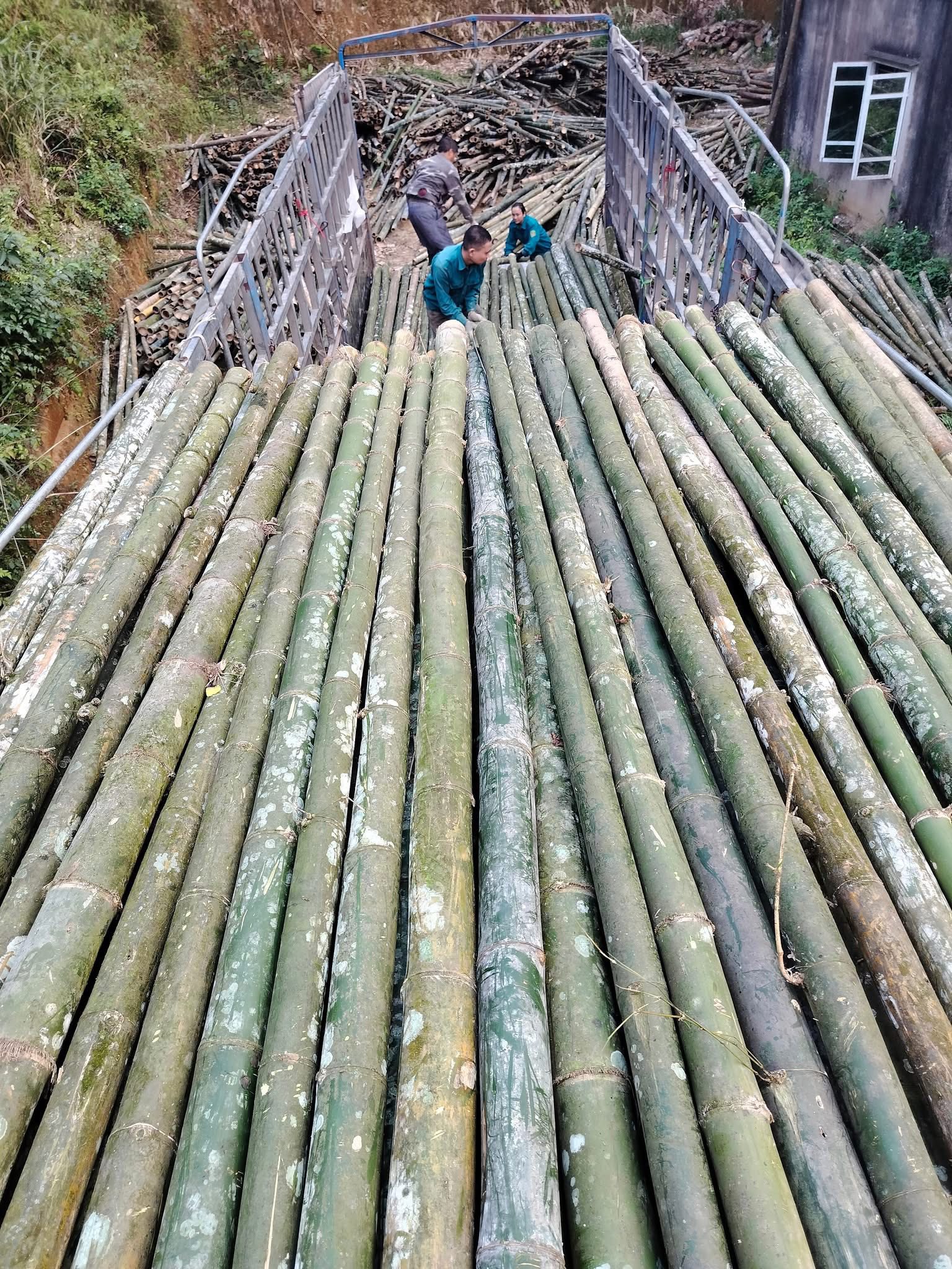 coc-tre-cap-cong-trinh (6)