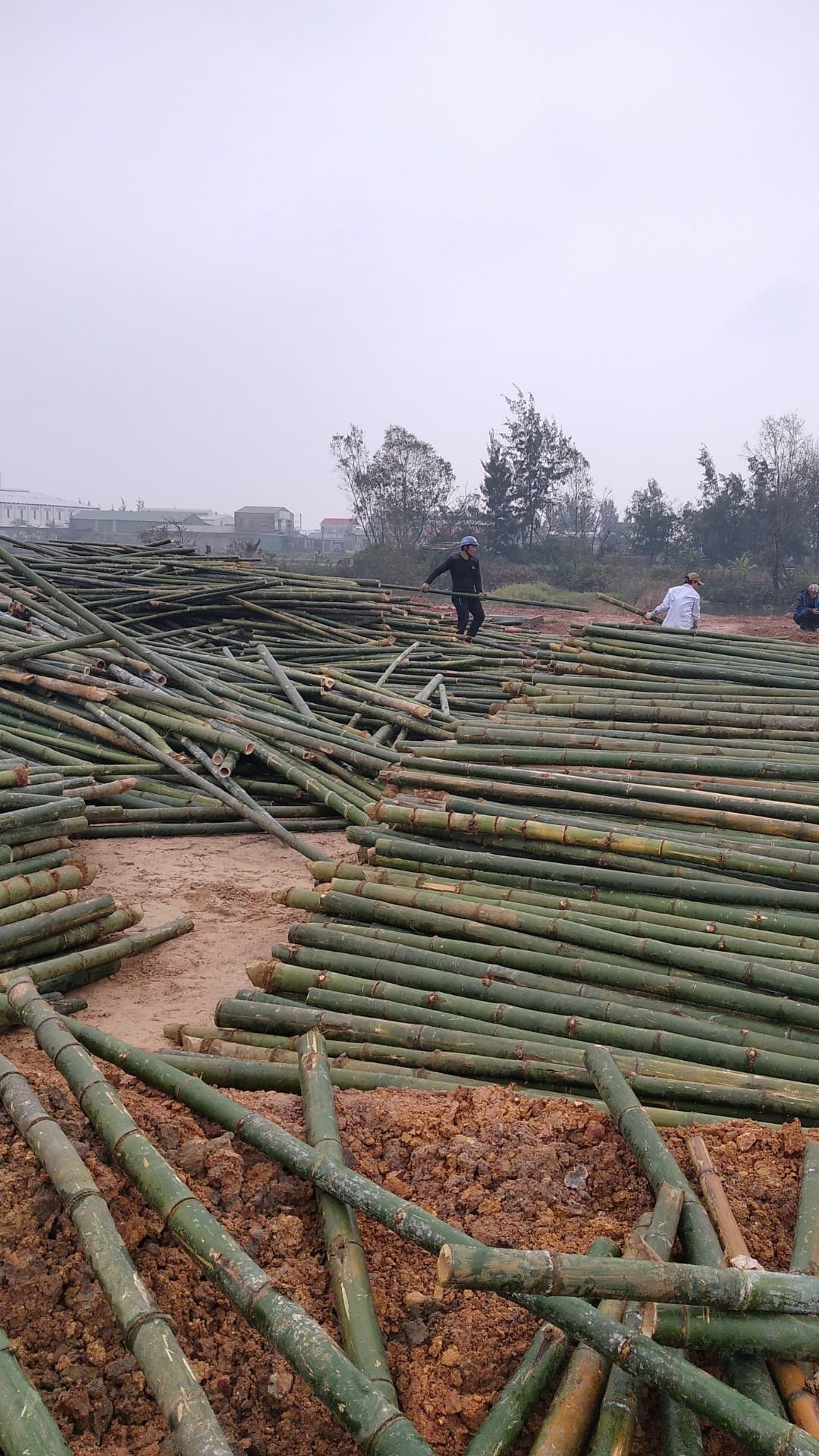 coc-tre-cap-cong-trinh (8)