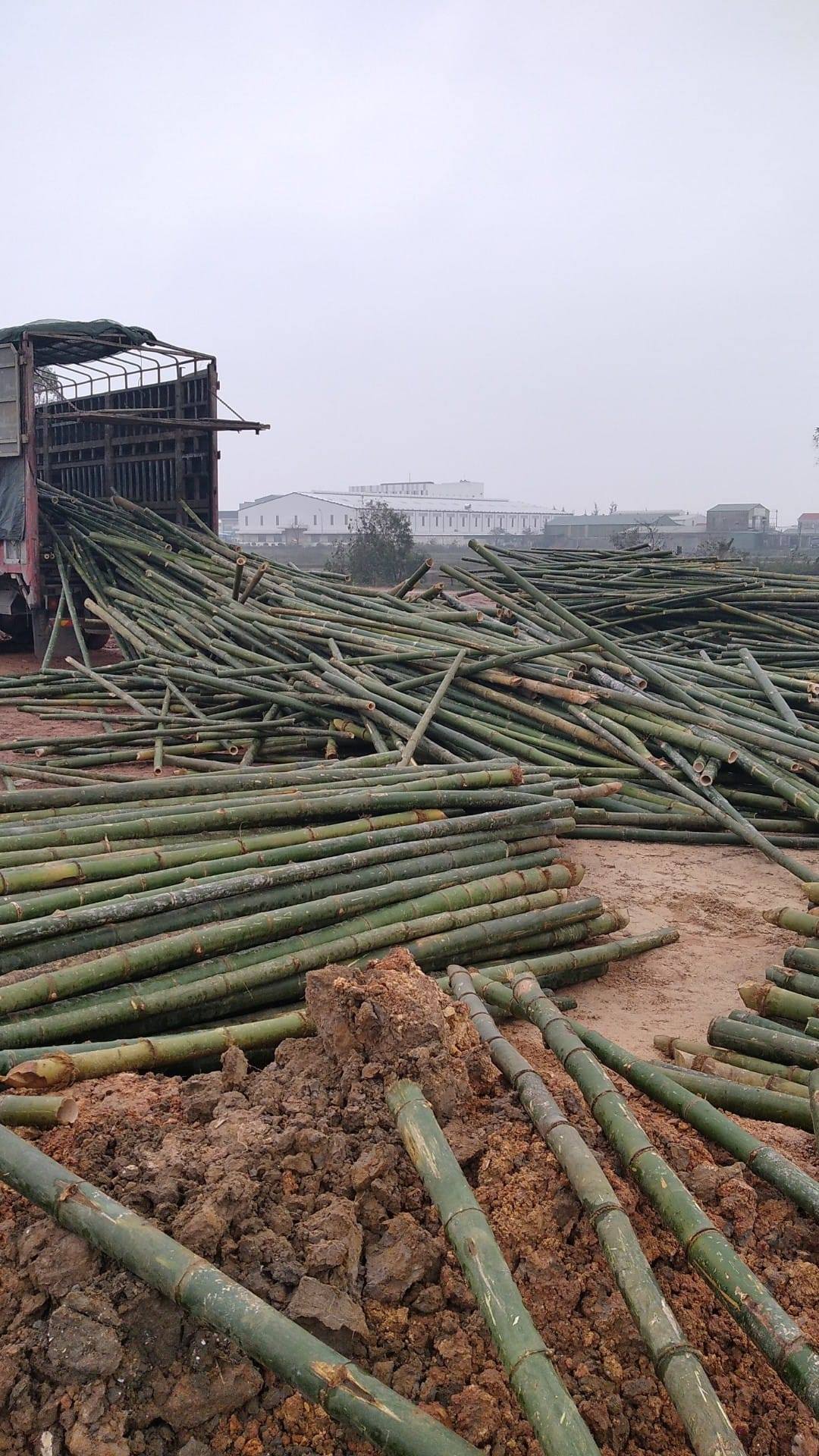 coc-tre-cap-cong-trinh (9)