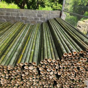 Sạp Tre Xây Dựng 3 mét