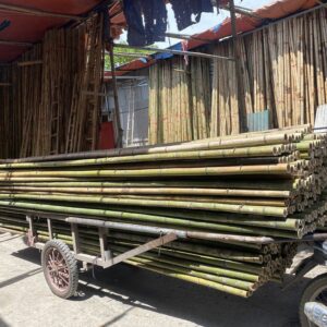 Sạp Tre Xây Dựng 2,5 mét