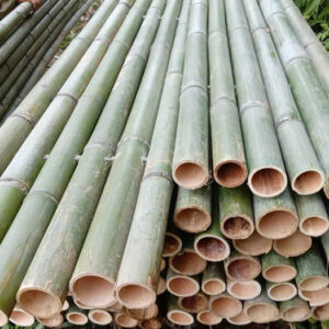 Sạp Tre Xây Dựng bản 4 cây