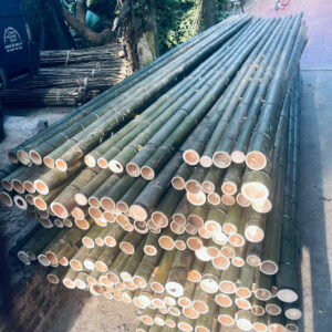 Sạp Tre Xây Dựng 4 mét